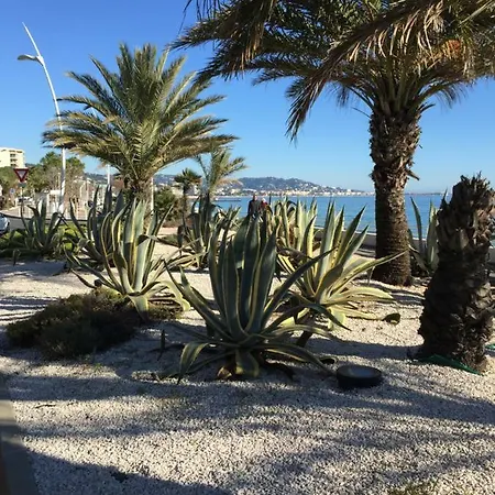 Belle Azur Lägenhet *