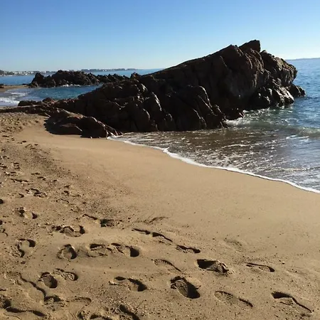 Lägenhet Belle Azur Cannes